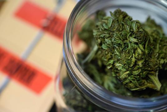 In this file photo taken on August 1, 2018 cannabis flowers that were meant to be sold as herbal tea are pictured at a police station in Brest, western France. // AFP PHOTO